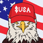 American Coin icon