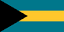 Bahamian Dollar icon