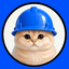 Basecat icon
