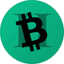 Bitcoin Cash II icon