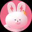 BunnyPark icon