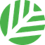 Canopy icon