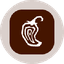 Chipotle Tokenized Stock (Ondo) icon