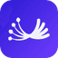 Dill icon