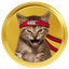 GameStop (gamestop-coin.vip) icon