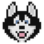 HOSKY Token icon