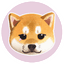 KiboShib icon