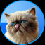 Mr Miggles icon