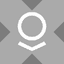 Palantir tokenized stock (xStock) icon