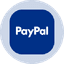 PayPal Tokenized Stock (Ondo) icon