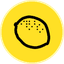 Ripe DAO Governance Token icon