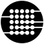 RIZE icon