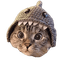 Shark Cat icon