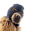 Ski Mask Dog icon