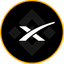 SpaceX Tokenized bStocks icon