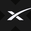 SpaceX tokenized stock (xStock) icon