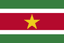 Surinam Dollar icon