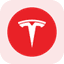Tesla Tokenized Stock (Reality) icon
