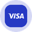 Visa Tokenized Stock (Ondo) icon