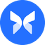 Morpho Blue