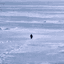Nietzschean Penguin icon