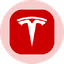 Tesla Tokenized Stock (Ondo) icon