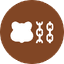 Berachain icon