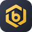 Bitrue Coin