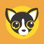 Chihuahua icon