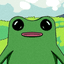 Fwog (SOL) icon