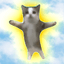 Happy Cat icon