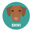 Hungarian Vizsla Inu icon