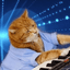 Keyboard Cat icon