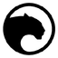 Panther Protocol icon
