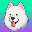 Samoyedcoin icon