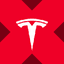 Tesla tokenized stock (xStock) icon