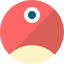pNetwork icon